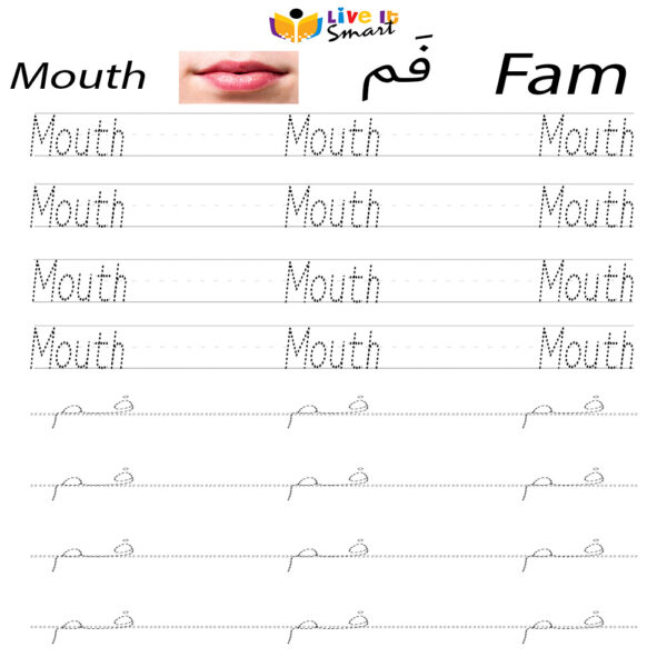 Body Parts in Arabic and English – Mouth