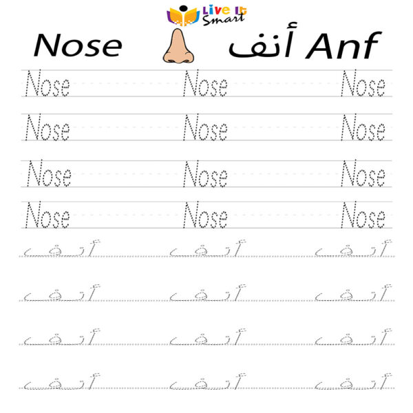 Body Parts in Arabic and English – Nose